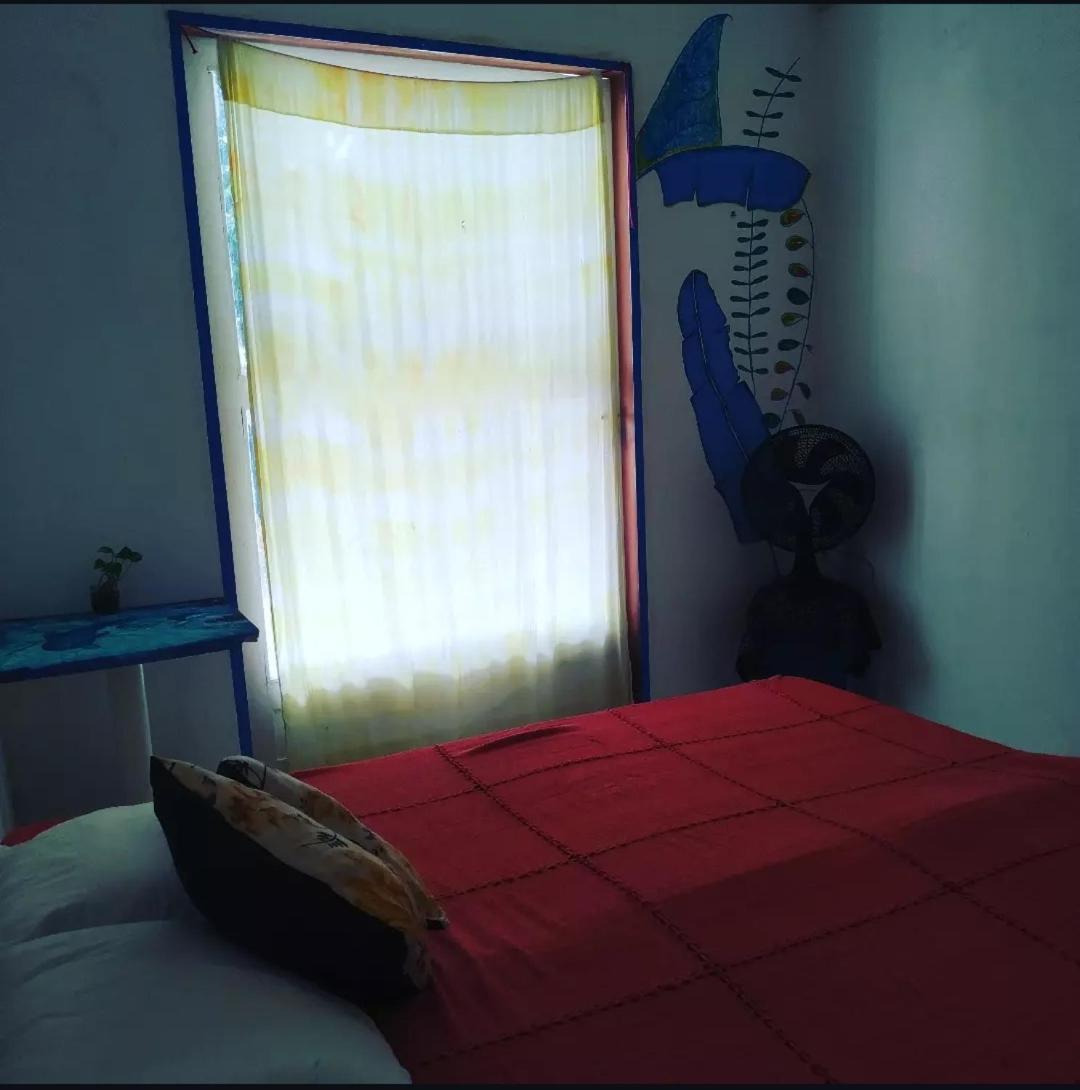 Casinha Blue Pipa Hostel Praia de Pipa Ngoại thất bức ảnh